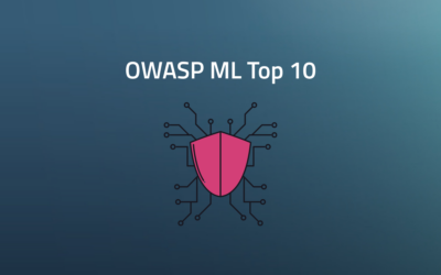 OWASP ML Top 10: Warum Sicherheit bei Machine Learning wichtig ist